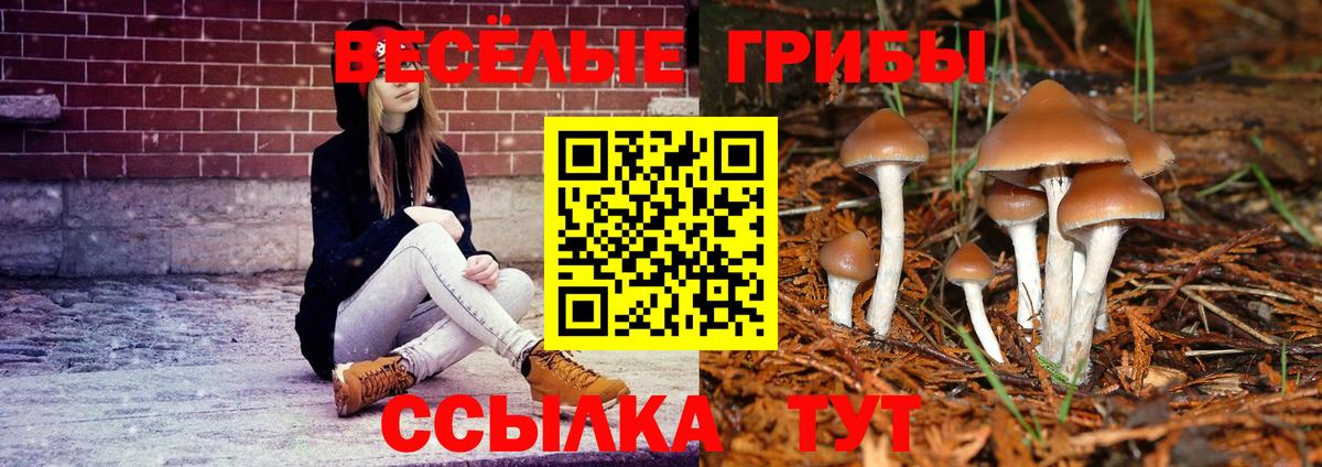 Галлюциногенные грибы Magic Shrooms  Псилоцибиновые грибы MAGIC MUSHROOMS  Вход с VPN  Семилуки 